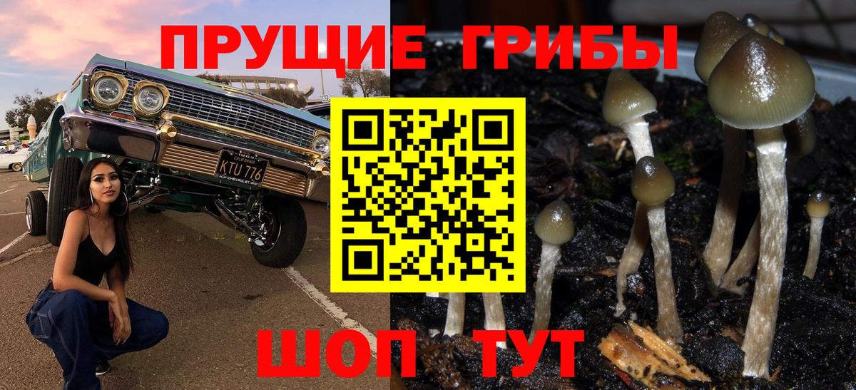 Галлюциногенные грибы прущие грибы  Вход с VPN  Хабаровск 